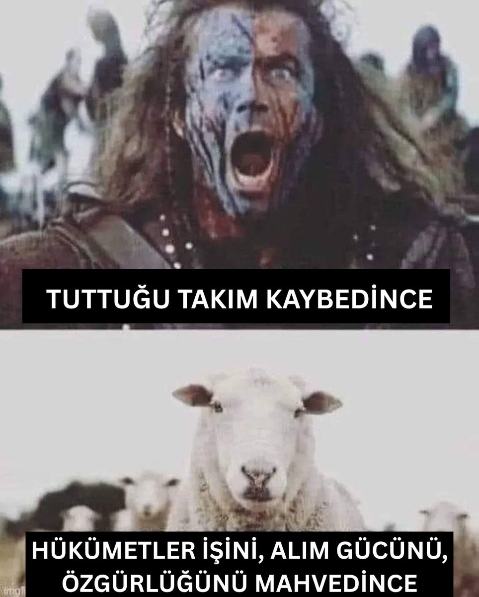 Emir Şahin (@emirusahin) on Twitter photo 