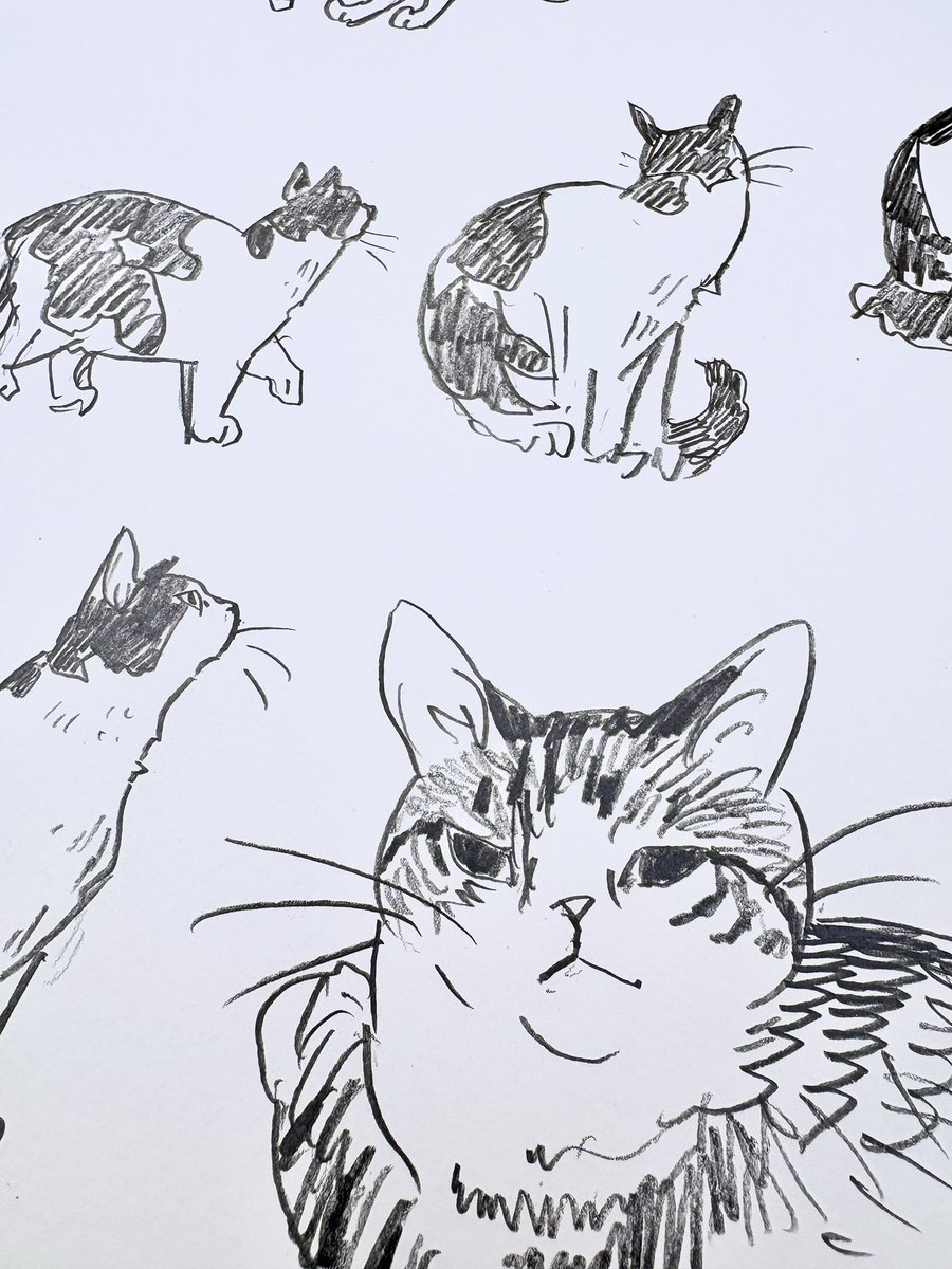 切り絵作家　草太 tweet media