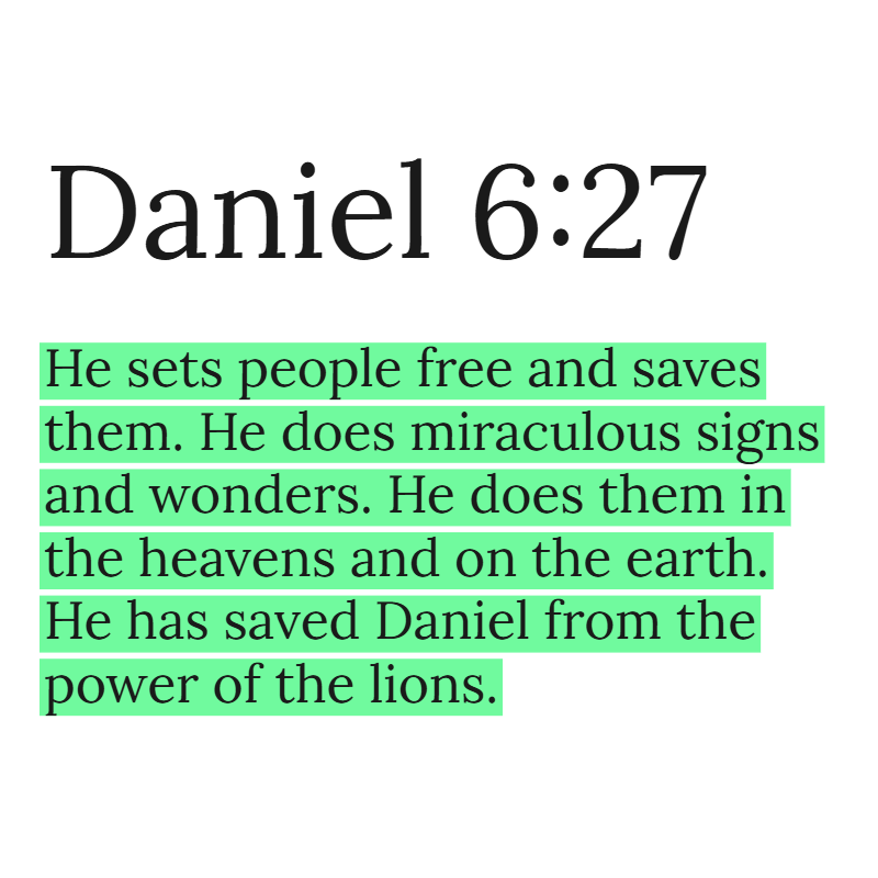 Holy Bible tweet media