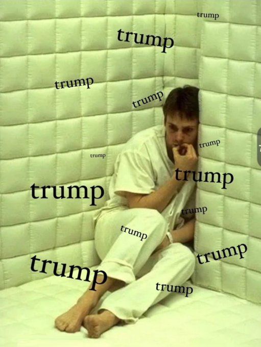 Matty Mo tweet media