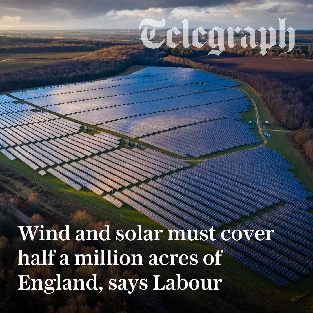 The Telegraph tweet media