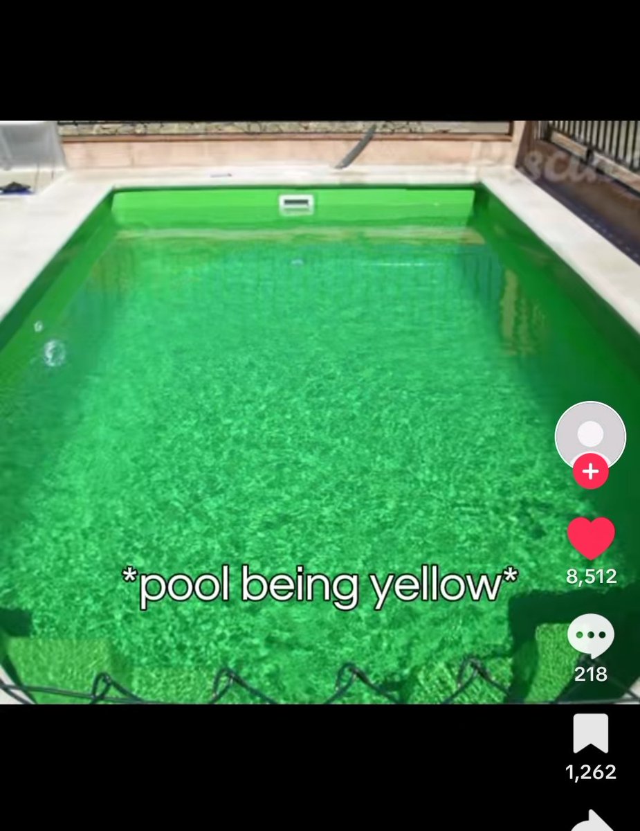 XYB⚙️🧬♂️ tweet media