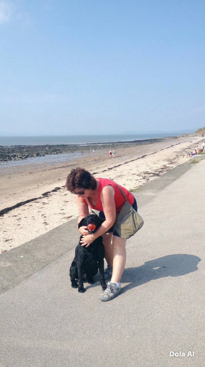 Valerie Dewhurst🎓📚🐕🦺🌻 tweet media