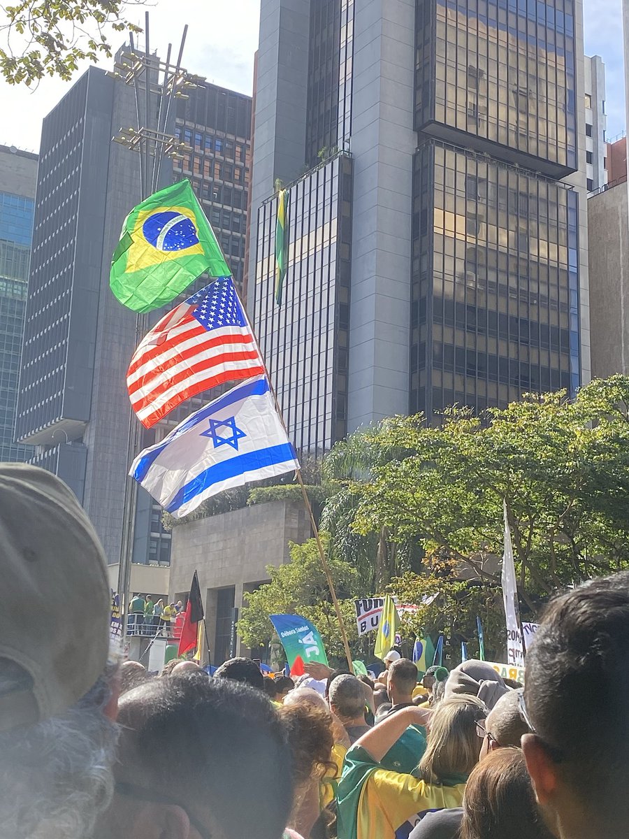 Heloísa tweet media