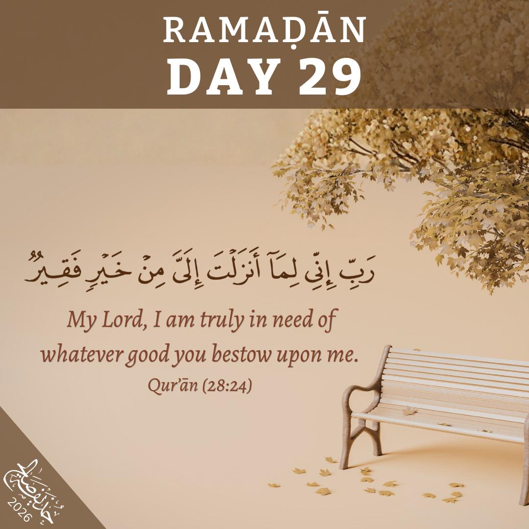 SiblingsOfIlm tweet media