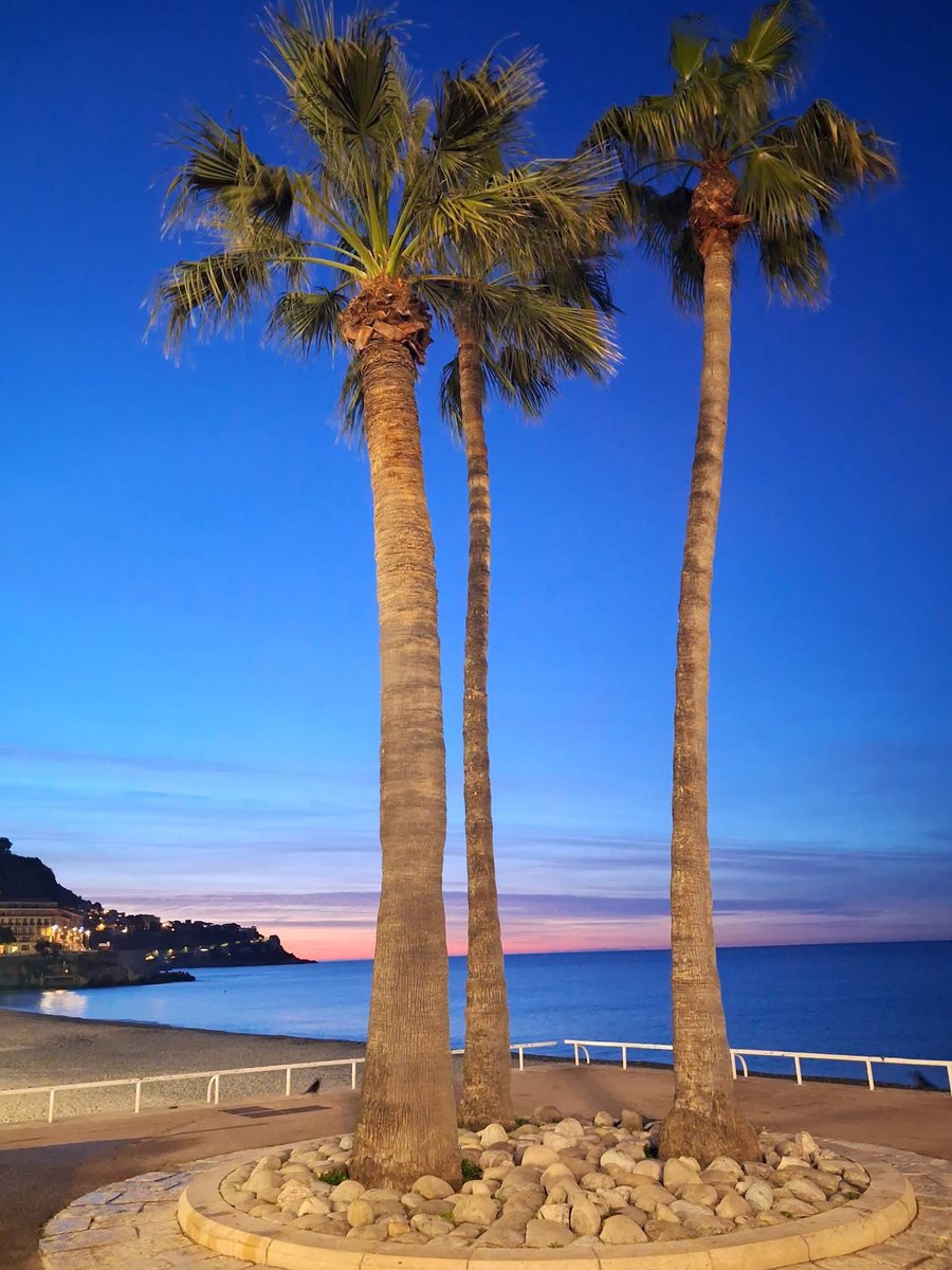 HansDampf tweet media