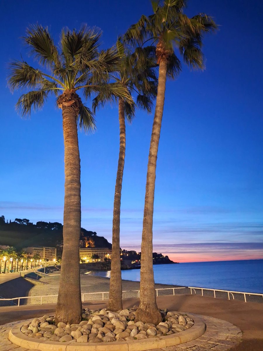 HansDampf tweet media