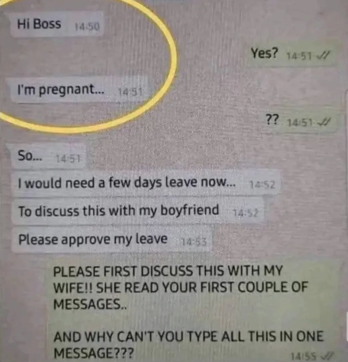 insane dms tweet media