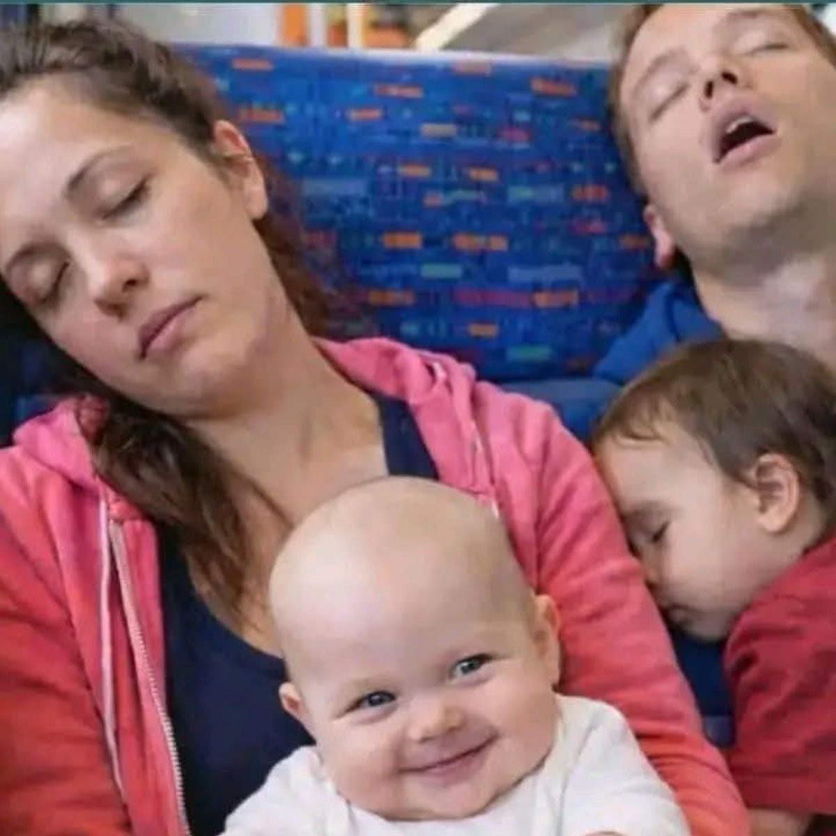 Omobola 🦋 tweet media