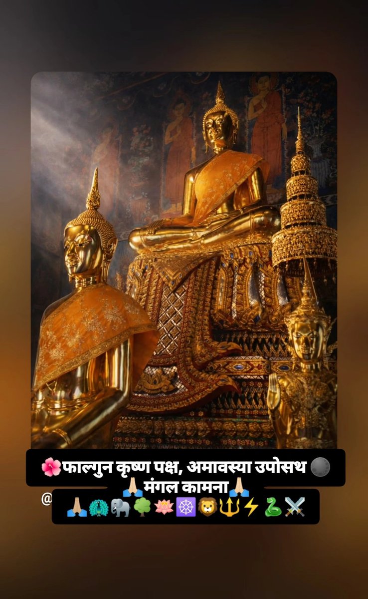 DAILY DOSE OF DHAMMA tweet media