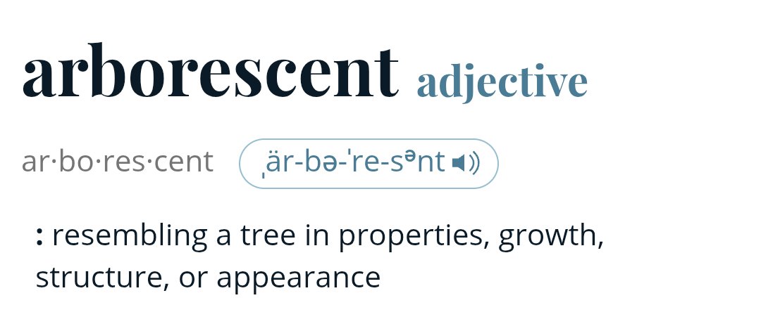 MageVivika ☥ (NZ) Life Mage tweet media