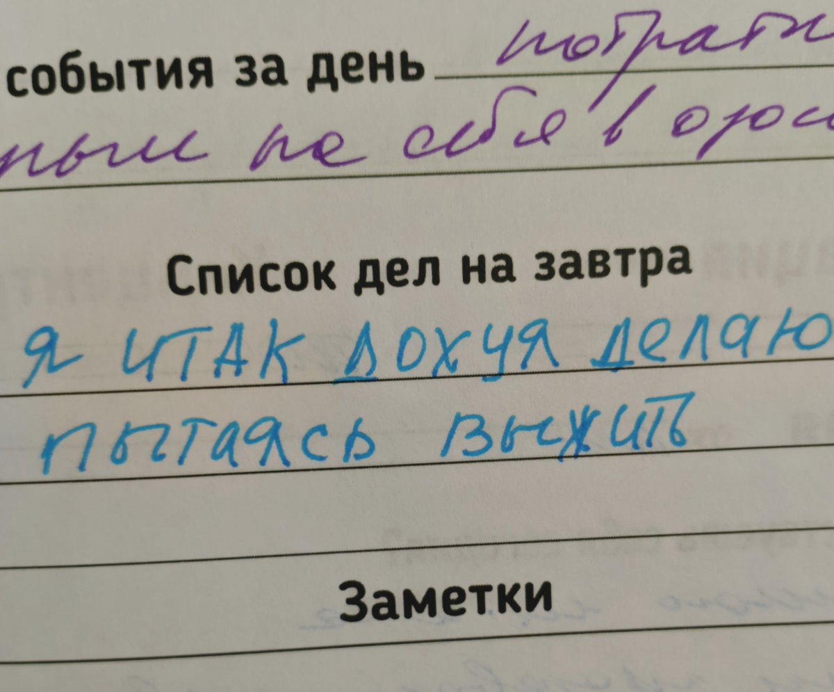 психокоты tweet media