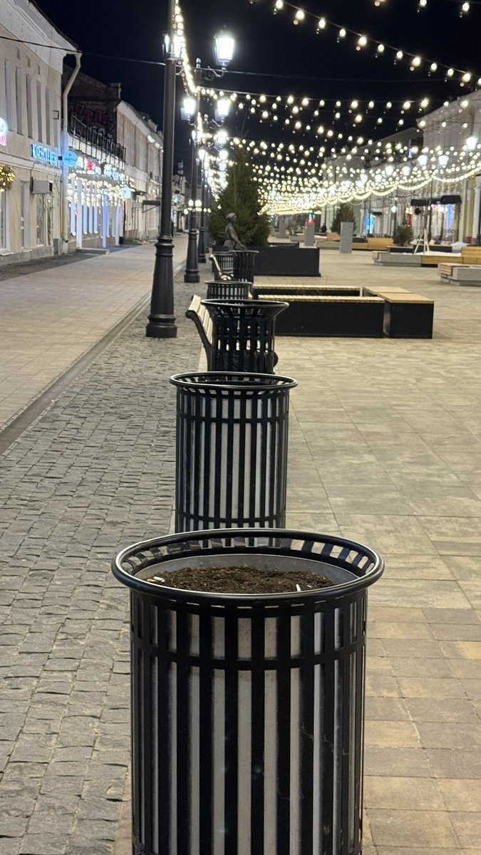 Бри ван де Кампф tweet media