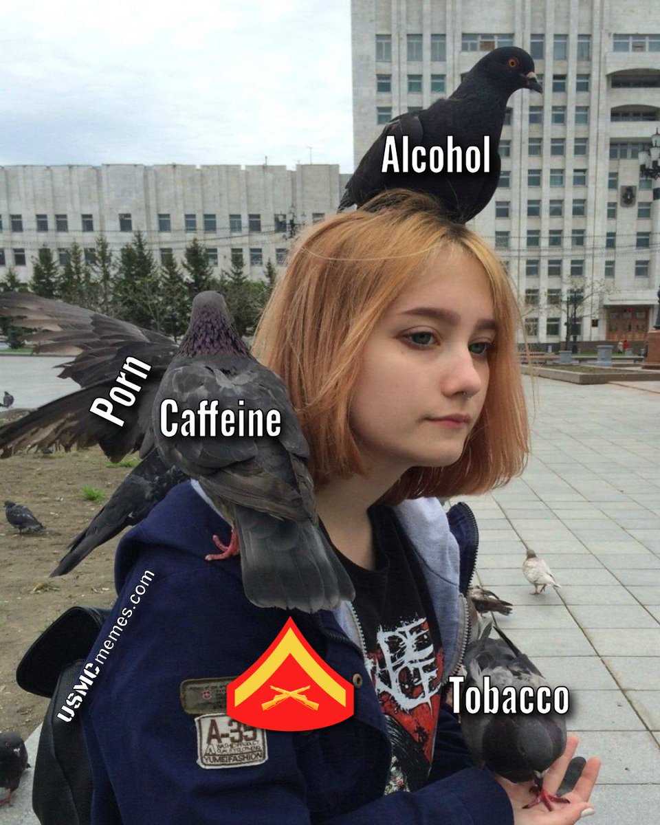 USMC Memes tweet media