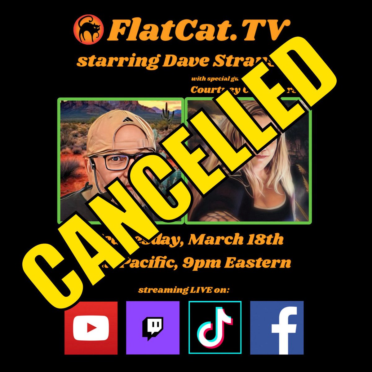 Flat Cat TV tweet media