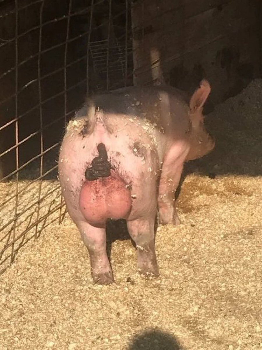 M1aSanM1a🇩🇪/🇷🇺 tweet media