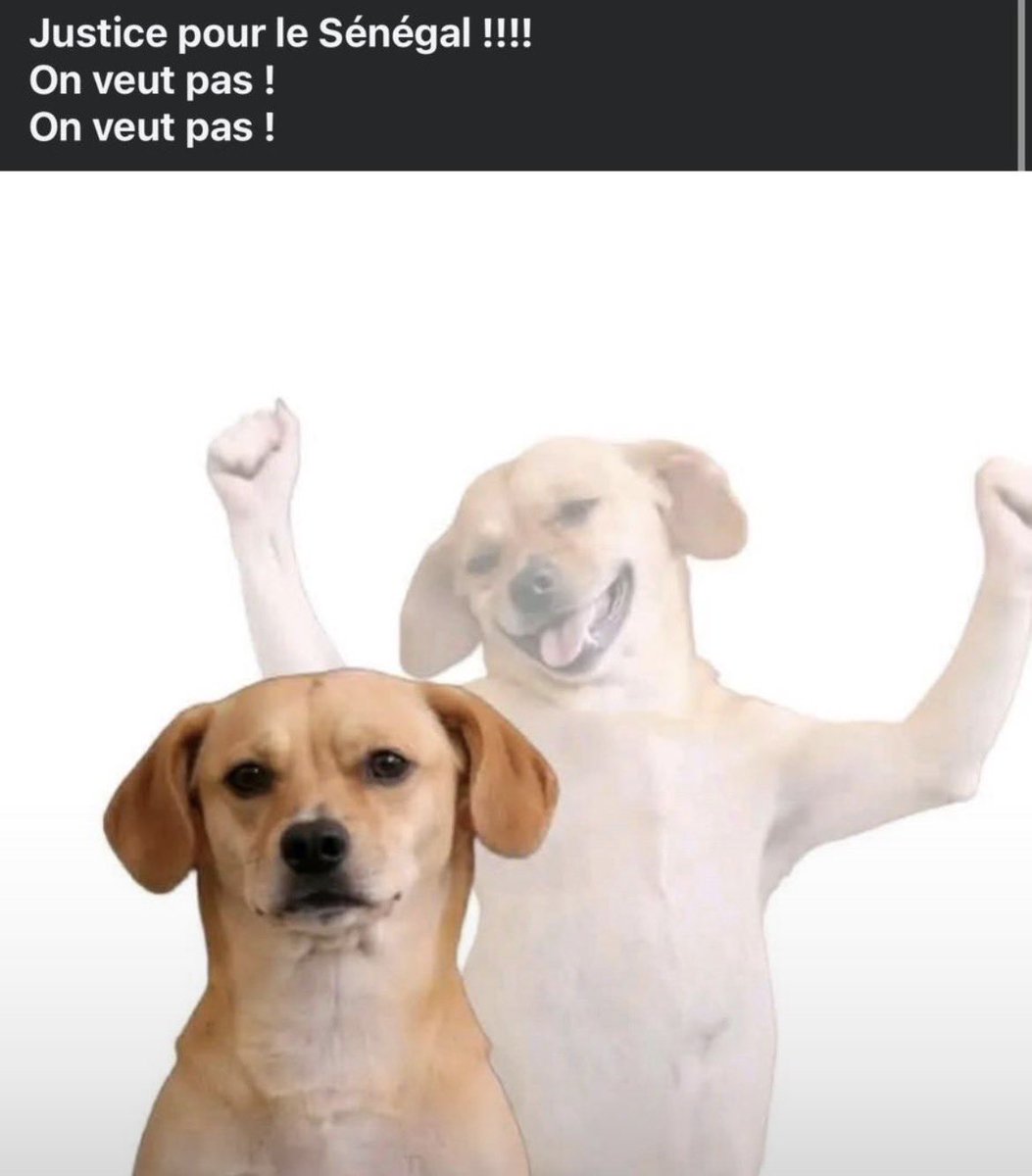 Boss Molare😎🇨🇮 tweet media