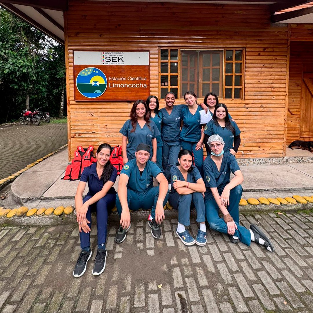 UISEK | Universidad Internacional SEK tweet media