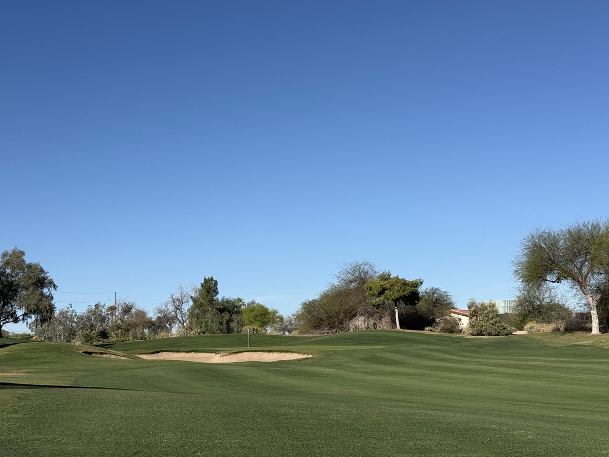 Bendelow Greens tweet media