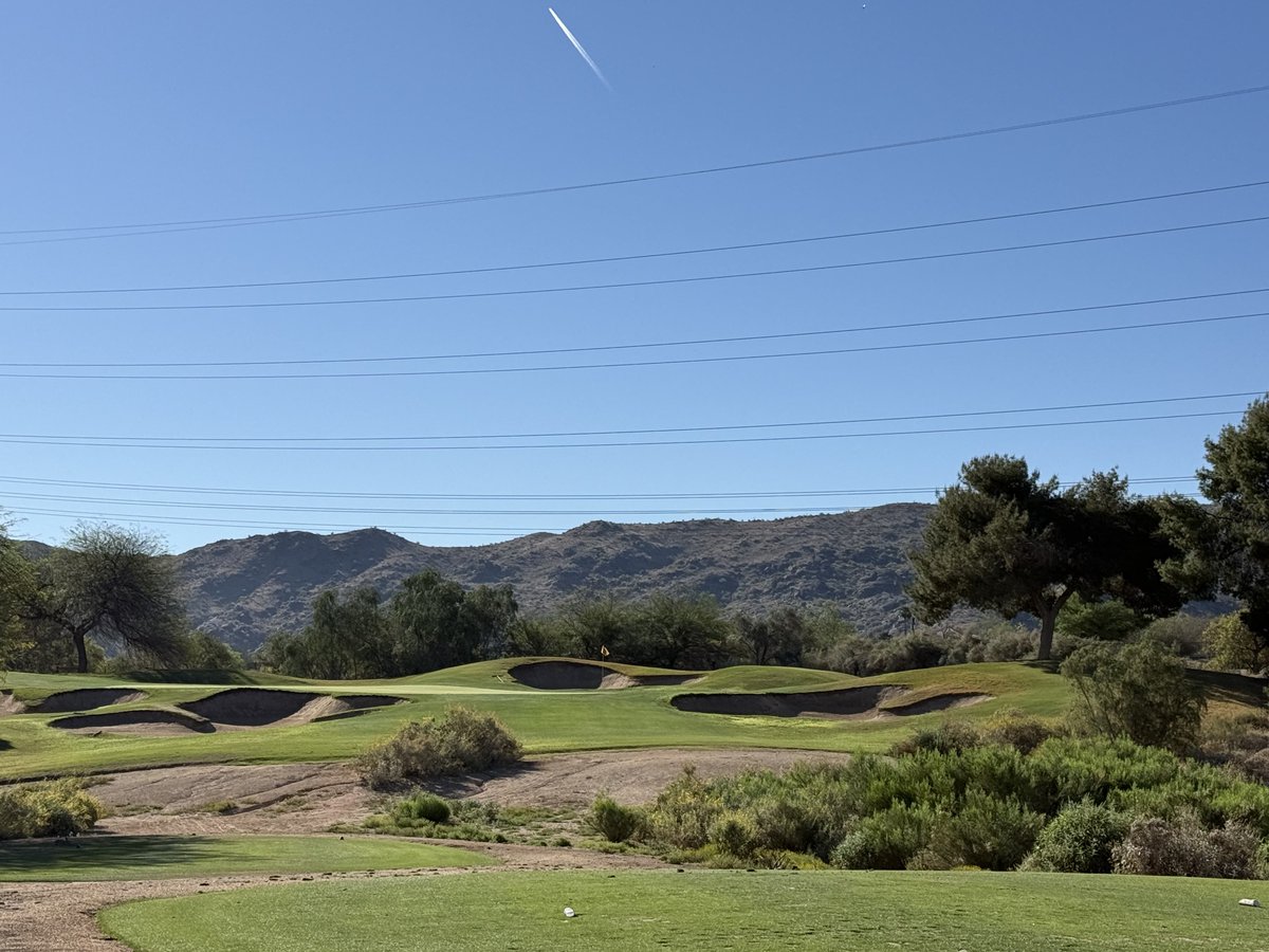 Bendelow Greens tweet media