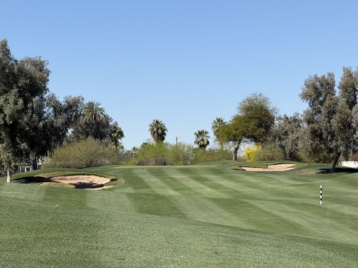 Bendelow Greens tweet media