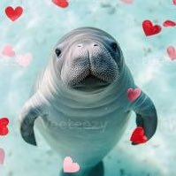 Valerie Hunt tweet media