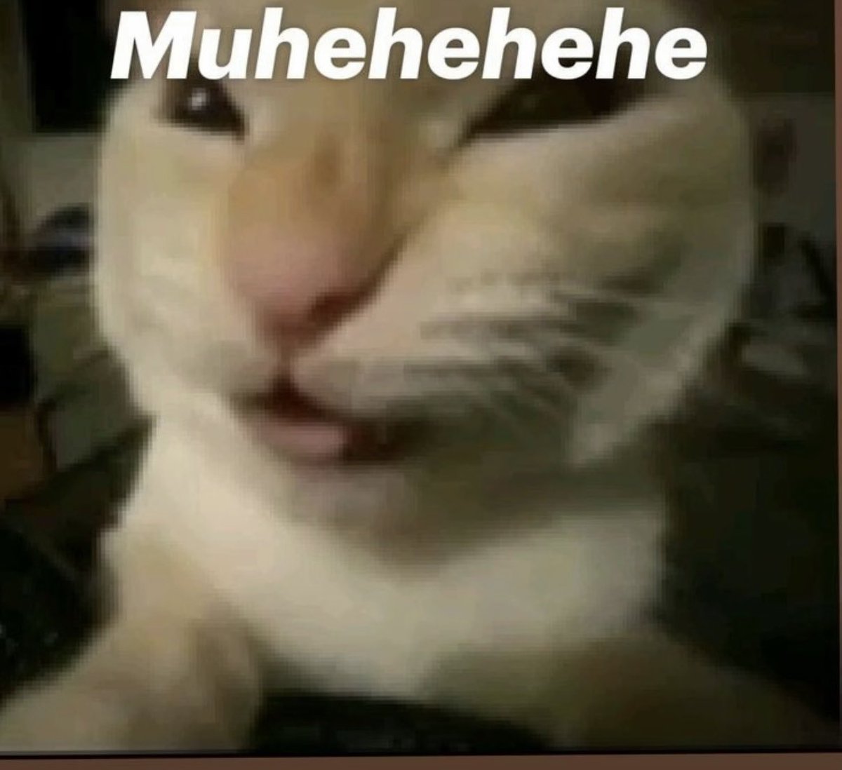 beanut_putter | college tweet media