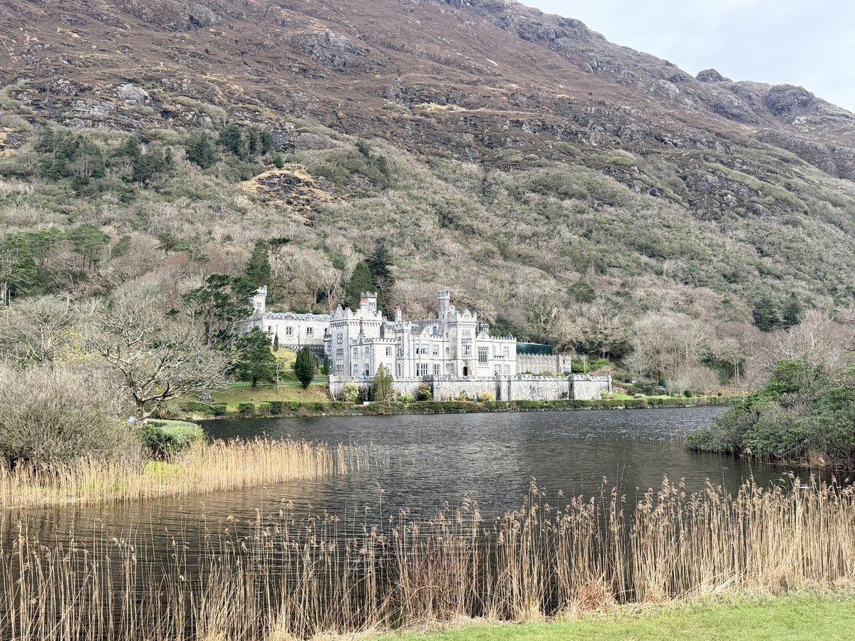 GazaLondon 🇪🇺🏳️‍🌈 🇮🇪 ☘️☘️ 🍉 tweet media