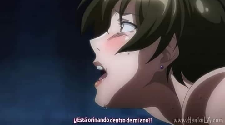 Rizinho Veiga Viuda de Fidalgo tweet media