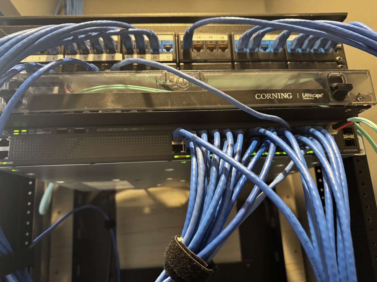 TheDataBunny tweet media