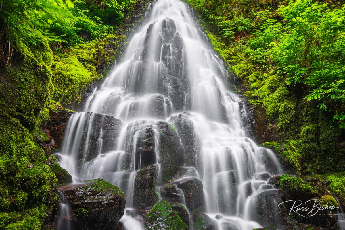 RussBishopPhoto's tweet photo. Fairy Falls, Columbia River Gorge NSA, Oregon | ©Russ Bishop

“Live in each season as it passes; breathe the air, drink the drink, taste the fruit, and resign yourself to the influence of the earth.”  ~ Henry David Thoreau

Have an inspired day!

#Oregon #waterfall #landscape https://t.co/6BtoN3k0sY
