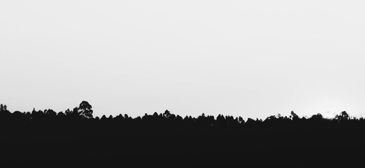 محمد بديري tweet media