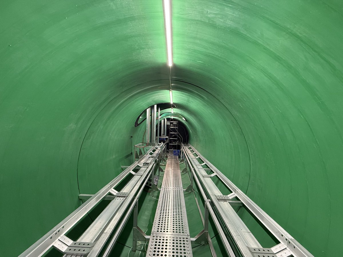 Michael Shor tweet media