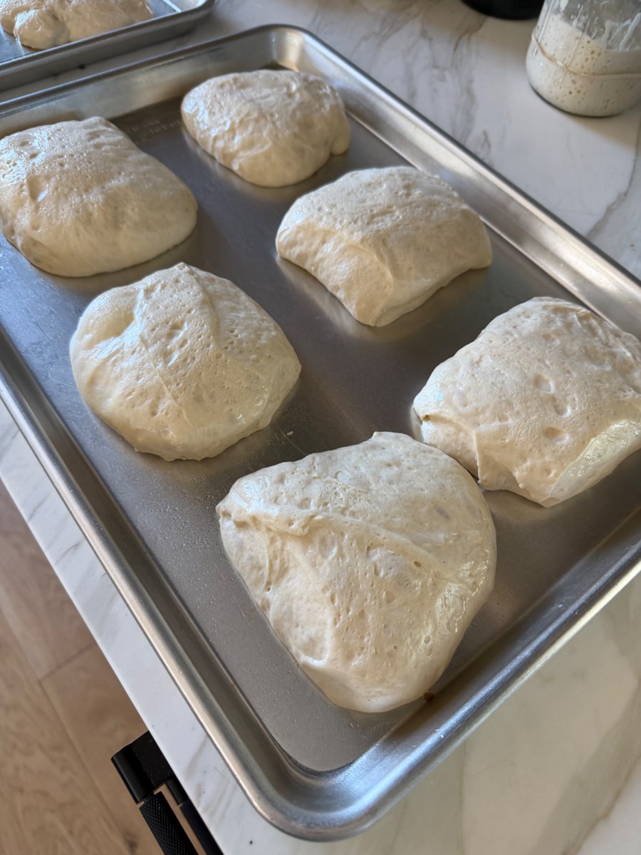 The Girl with the Mozart Tattoo tweet media