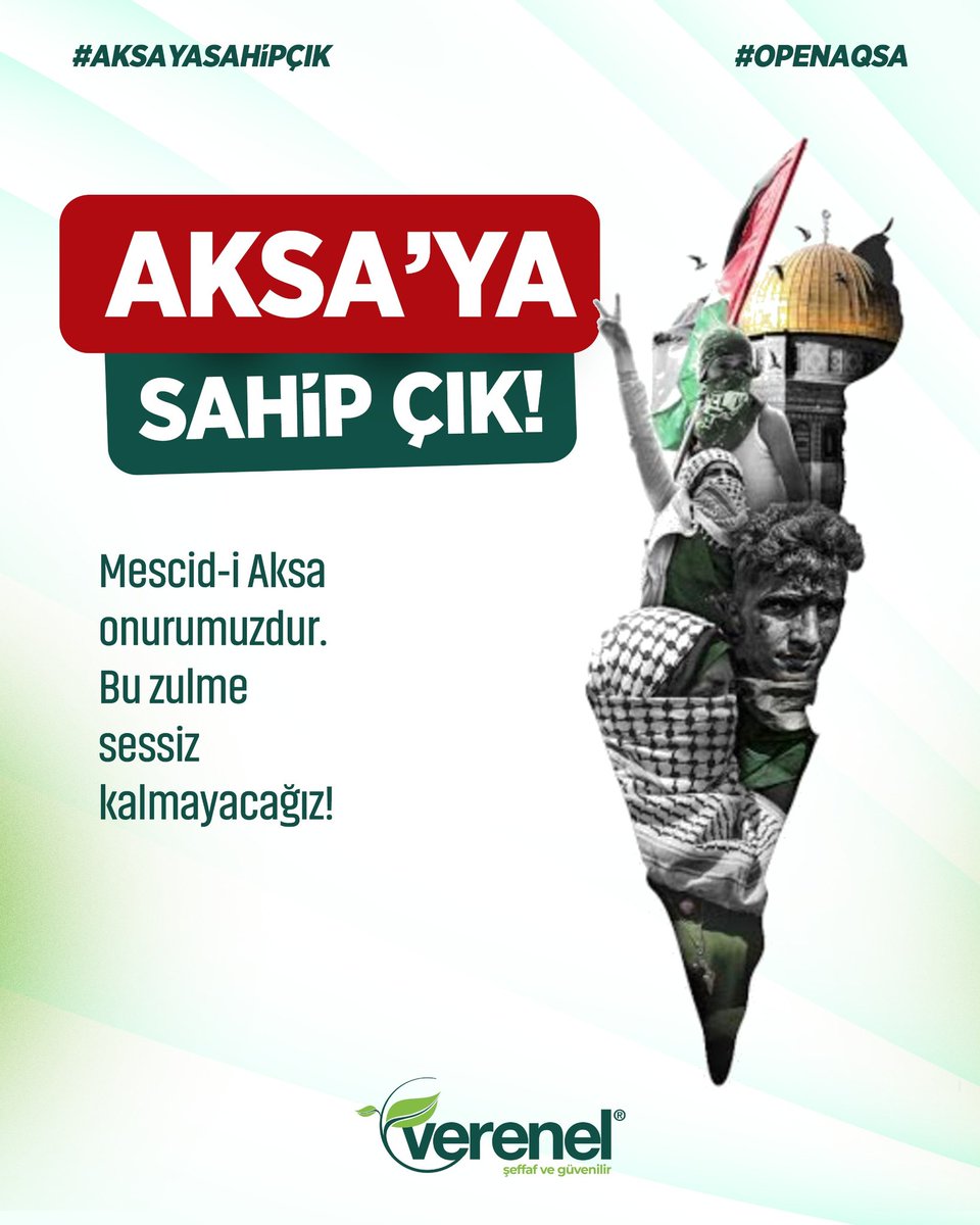 Fatma Dağdeviren 🇹🇷 tweet media