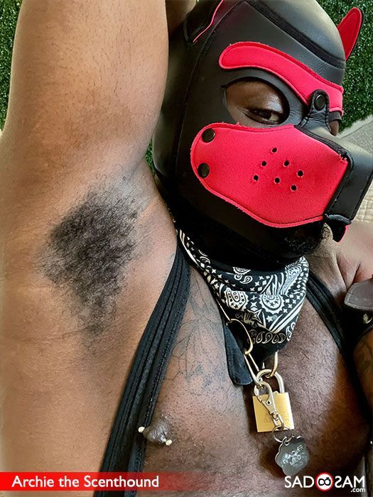 KINKFINITY - KINKSTERS.ONLINE tweet media