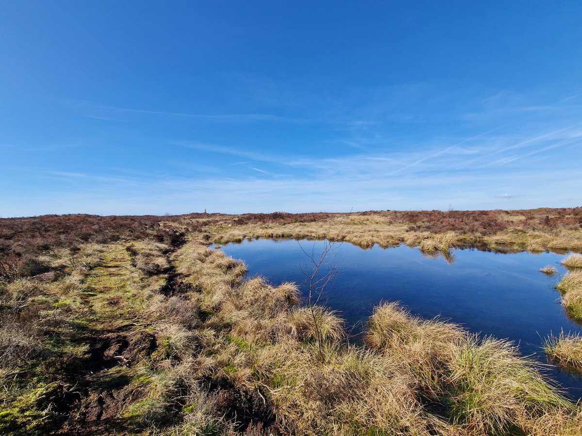Natural Derbyshire Tours tweet media