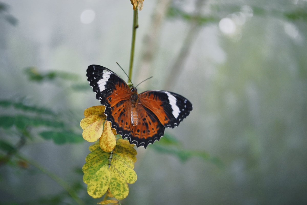 that happened like minutes after i took this btw 🥹