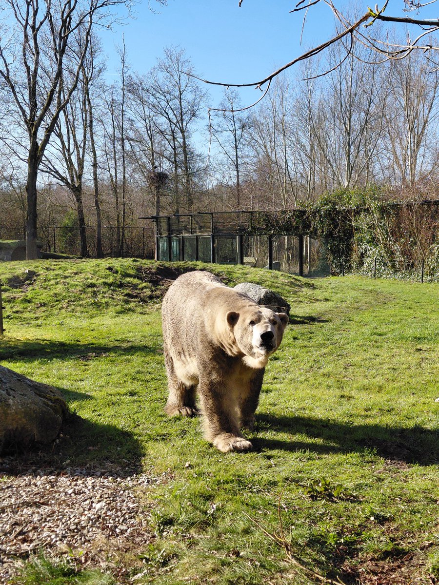 iris. ♡ tweet media