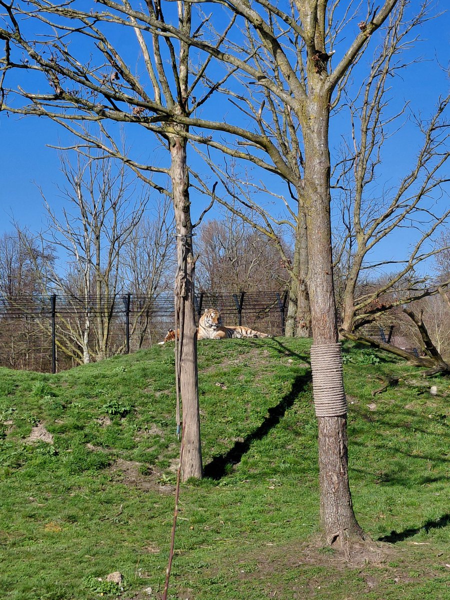 iris. ♡ tweet media