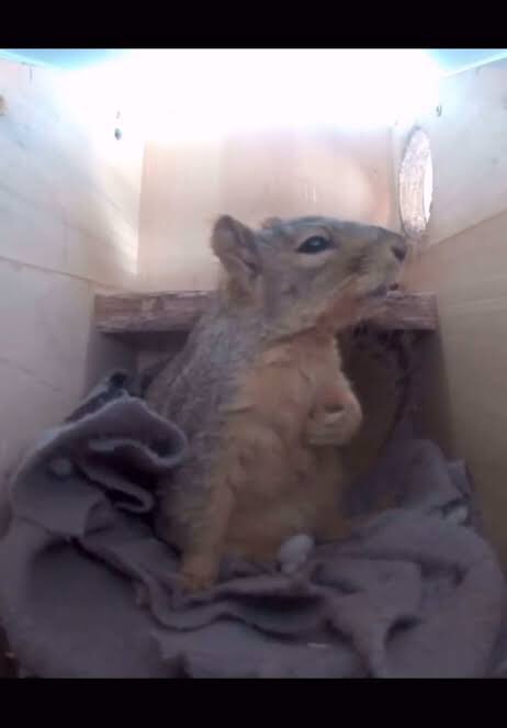 شكلي بخلي جوالي تحت بالصالة. ابي اخذ غفوة ولاابي اقوم مرتاعة من صوت الانذار