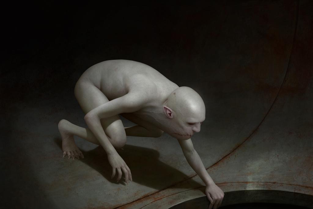 Roberto Ribeiro Padula tweet media