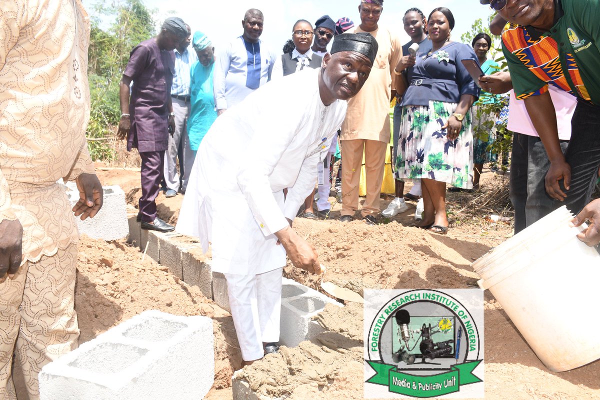 FRINMEDIA tweet media