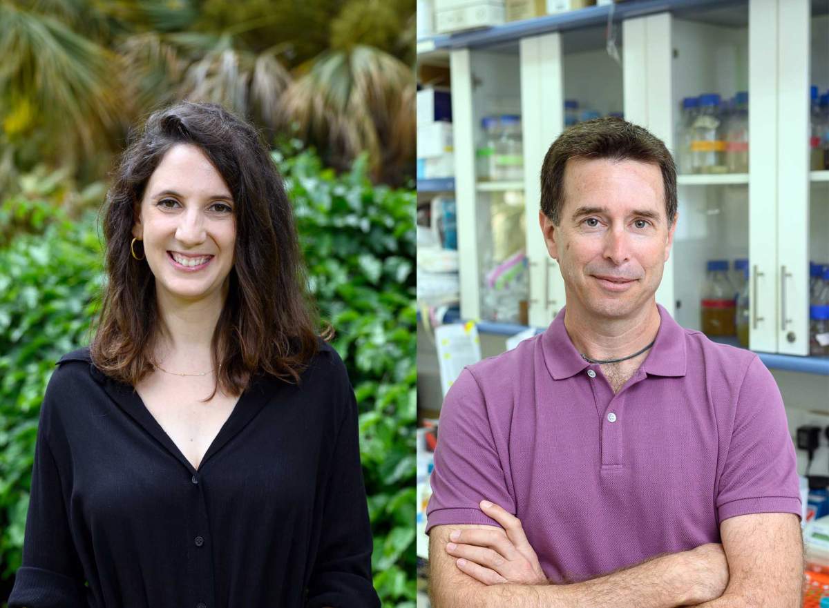 Weizmann Canada tweet media