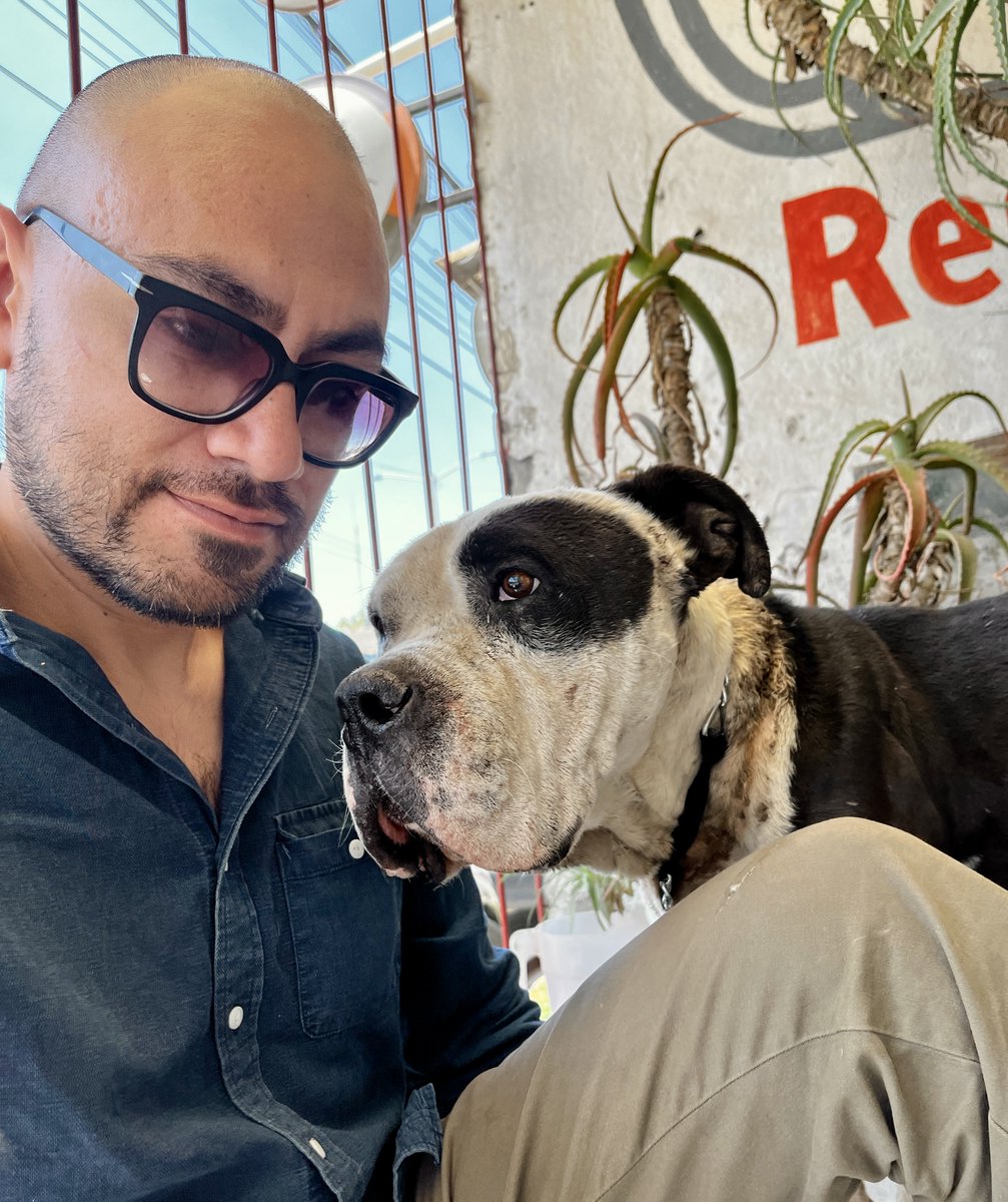 Diego Canales tweet media