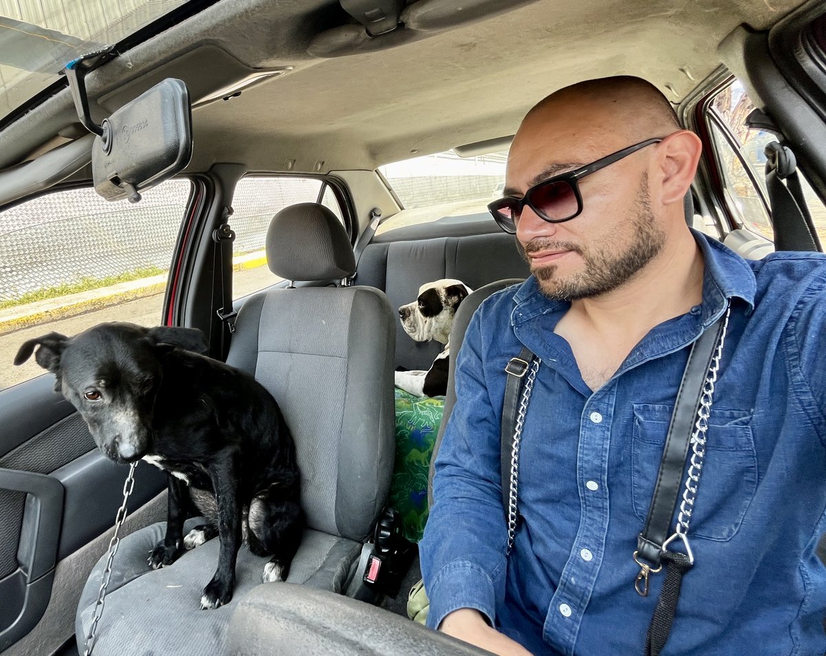 Diego Canales tweet media