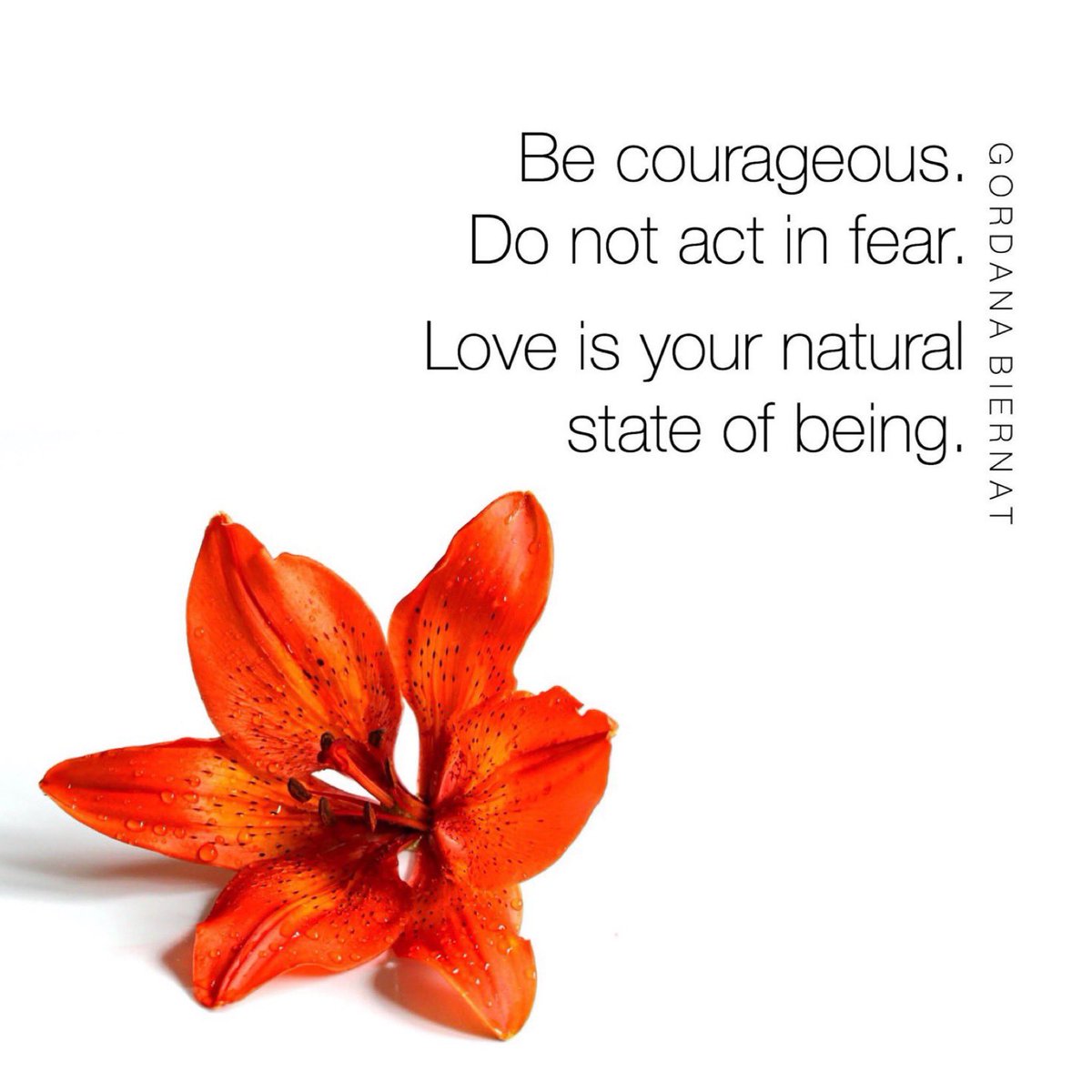 Gordana Biernat tweet media