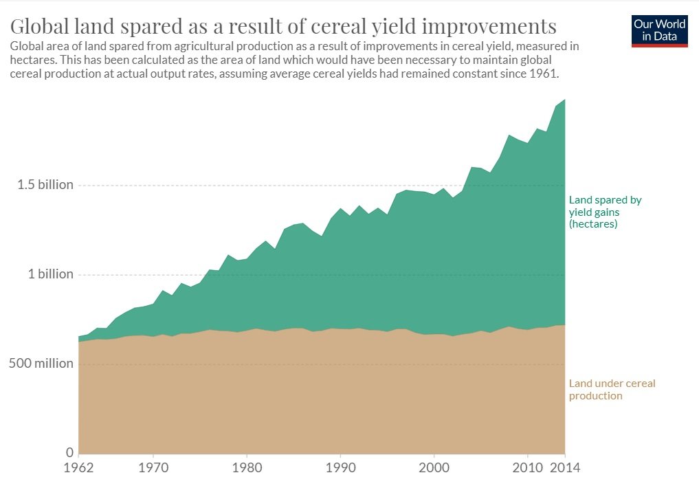 Owen Lewis tweet media