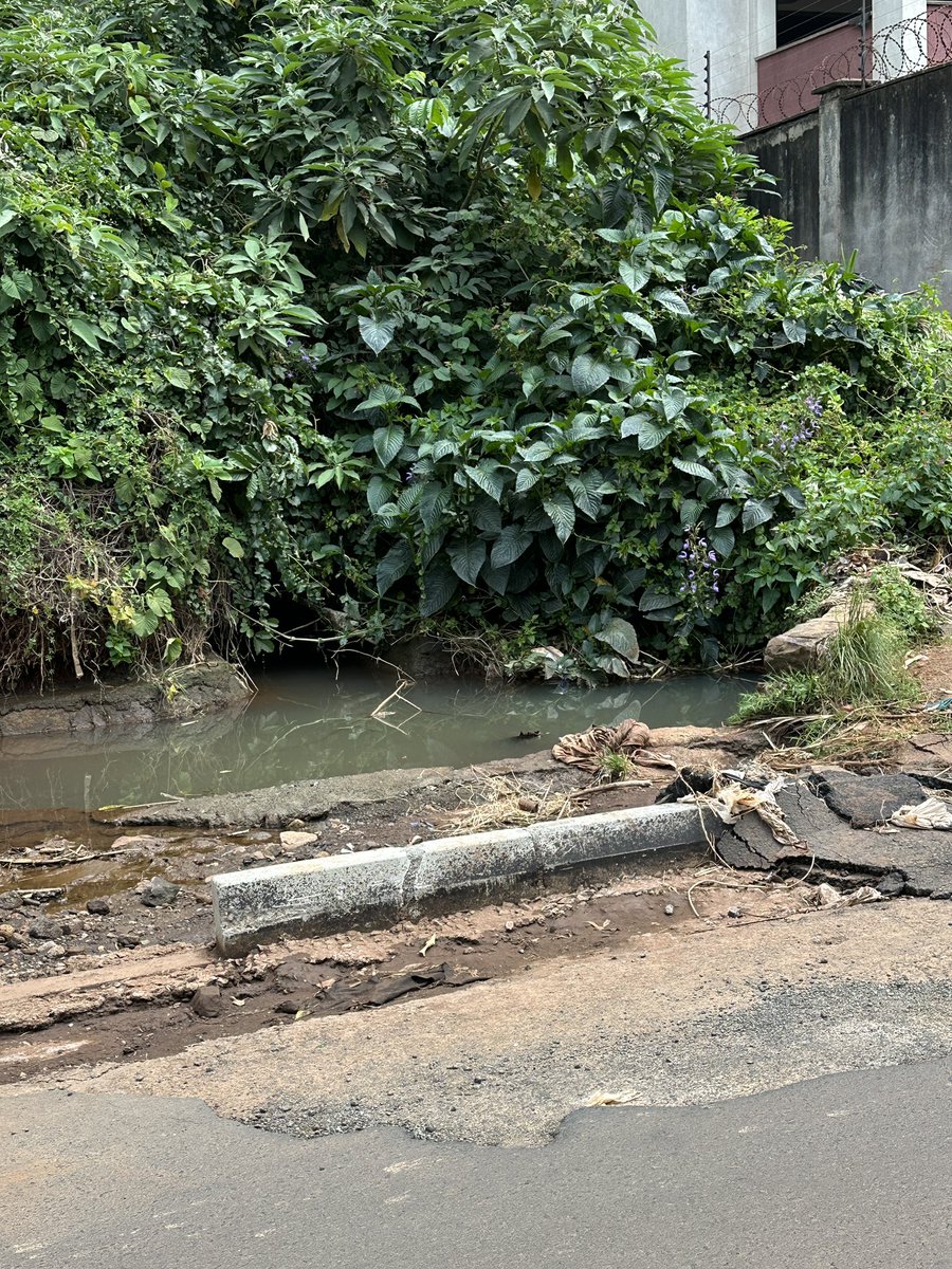 Alfayaz 11 tweet media