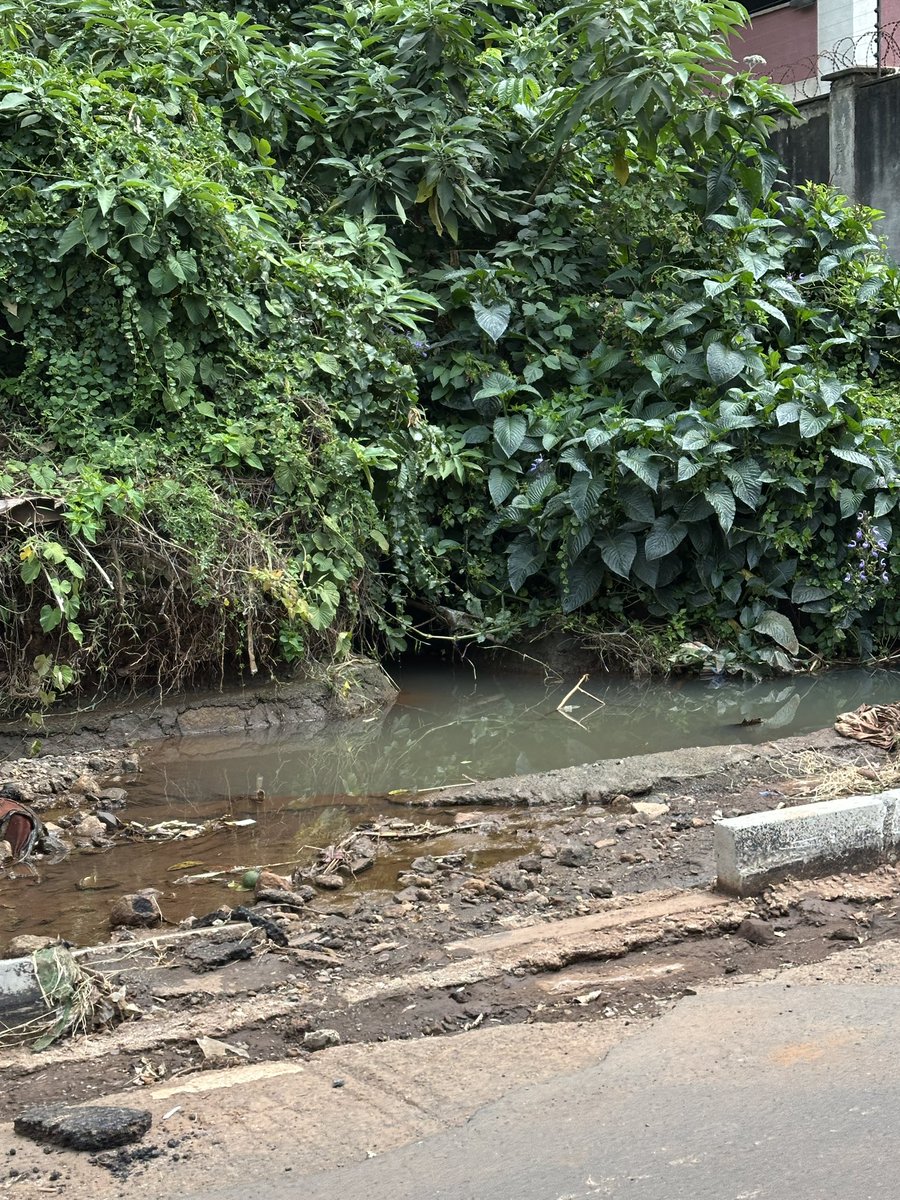 Alfayaz 11 tweet media